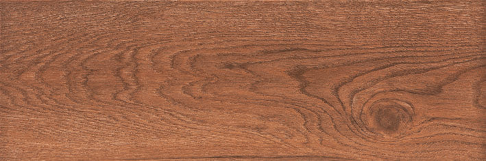 Fronda 20x60cm