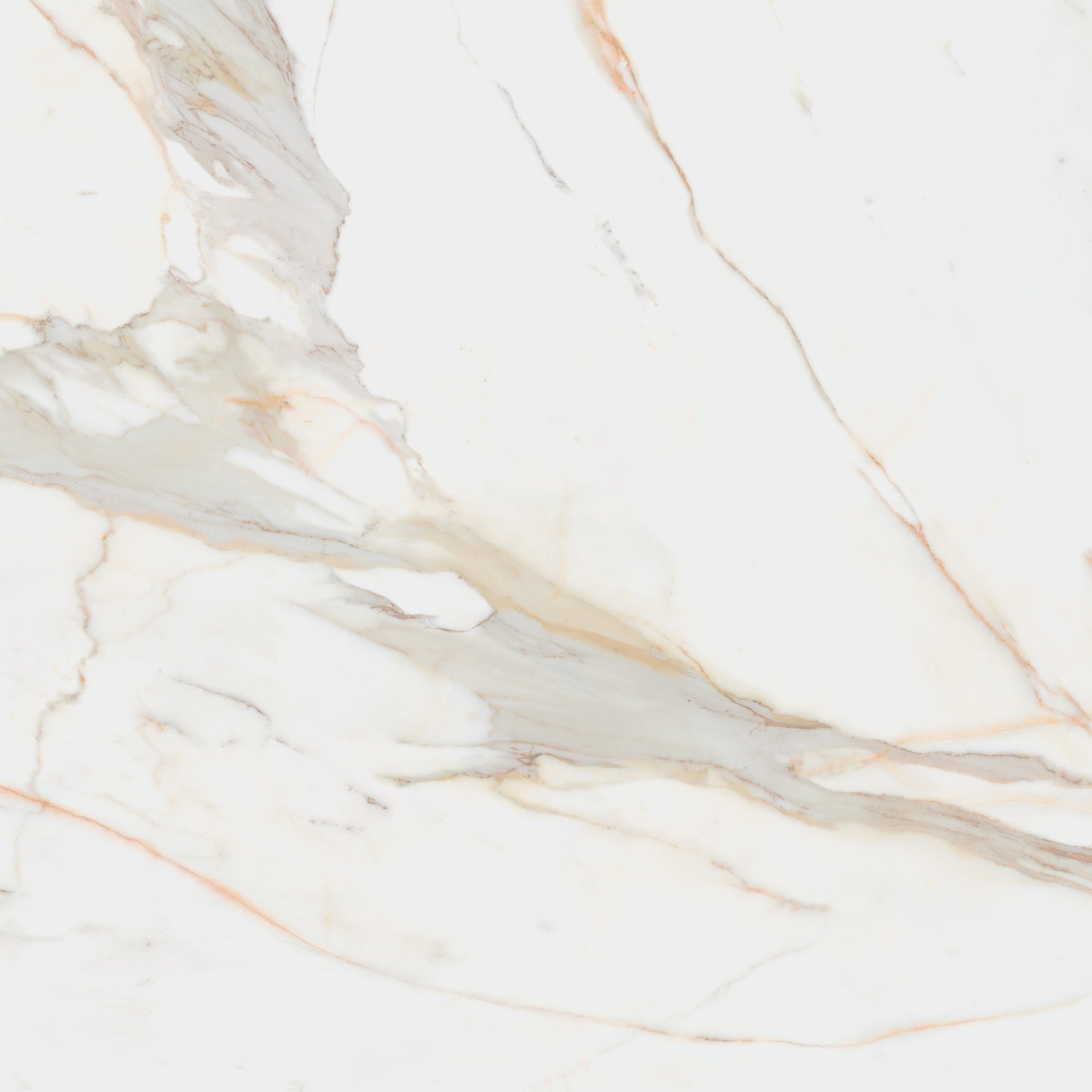 Calacata Gold 30x60cm / 60x60cm/ 60x120cm