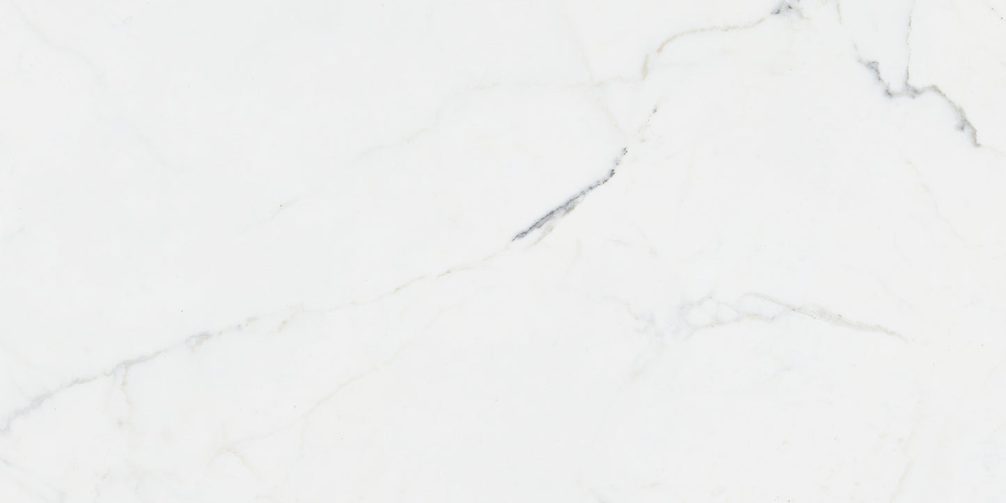 Carrara White 60x120cm
