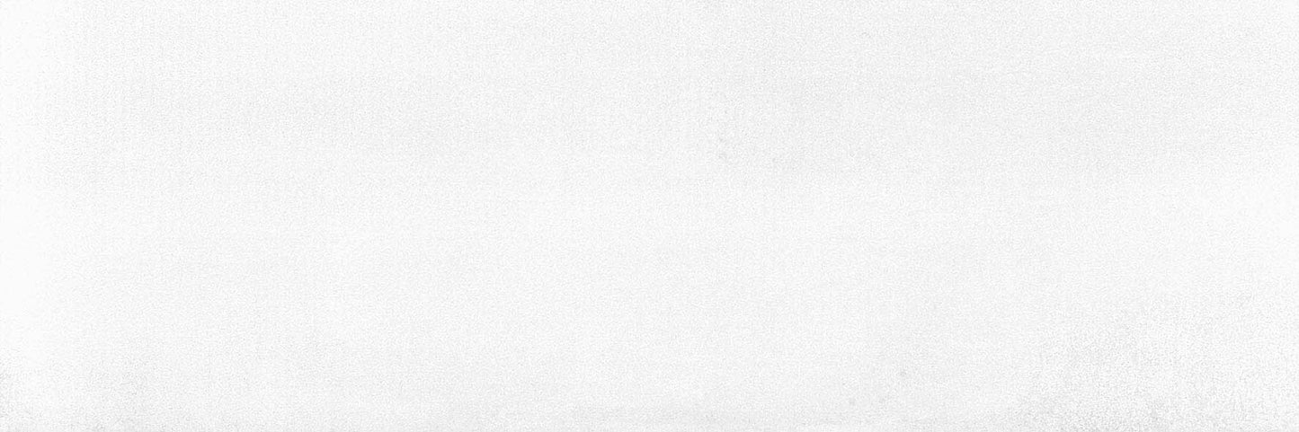 Brienz 33.3x100cm