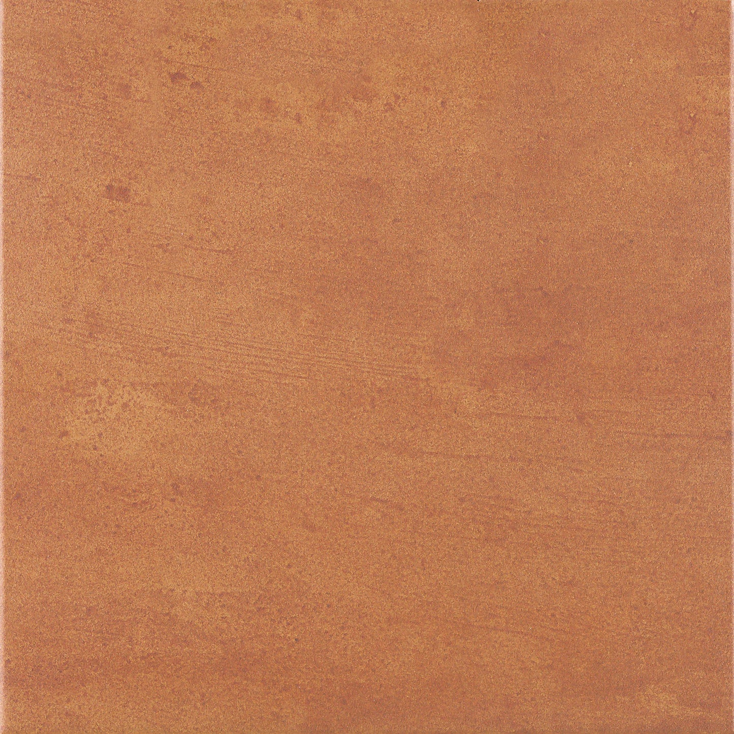 Boi Coto 33.3x33.3cm