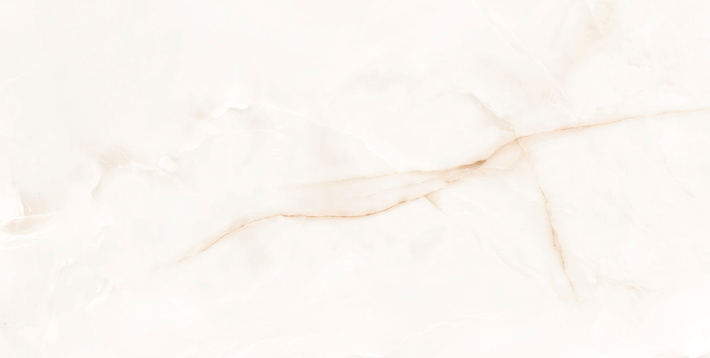 Onix White 60x120cm